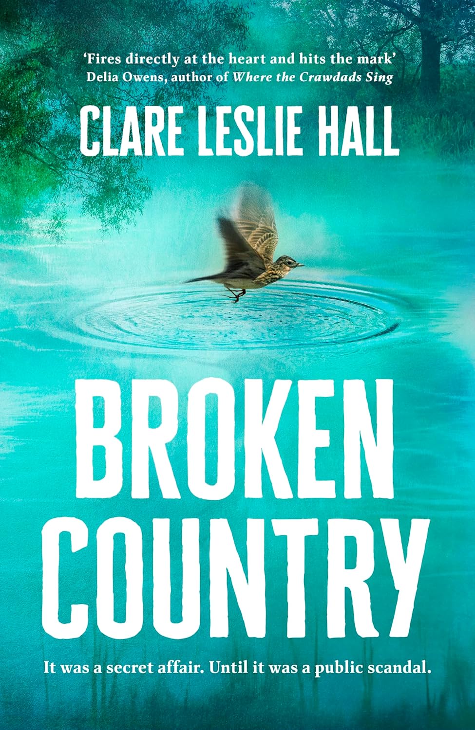 Broken Country by Clare Leslie Hall | Used Paperback India